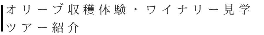 オリーブ収穫体験・ワイナリー見学ツアー紹介