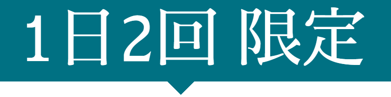 1日2回限定